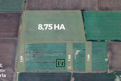 Teren de 117500 mp, în Central - 2