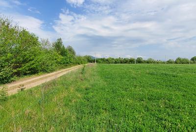 Teren intravilan de 6000 mp, în Bușag - 3