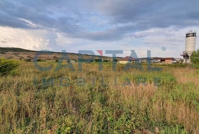 Teren intravilan 23750 mp, Zalau - 3