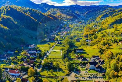 COMISION 0% Teren 2,200mp Simon / Strada Iancu Gontea - 5