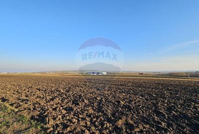 Teren agricol extravilan de 6100 mp, în Stroiești - 8