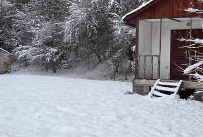 Spațiu comercial, în Central - 3