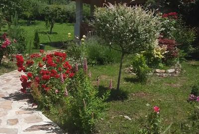 Casă cu 4 camere în Drajna - 3