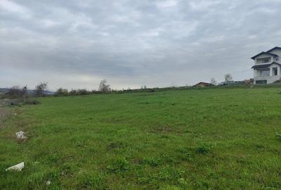 Teren de 3600 mp, în Bucium - 1