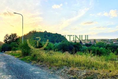 Teren de vânzare Cisnădioara – 2 parcele a câte 1.250 mp, utilități pe teren - 3
