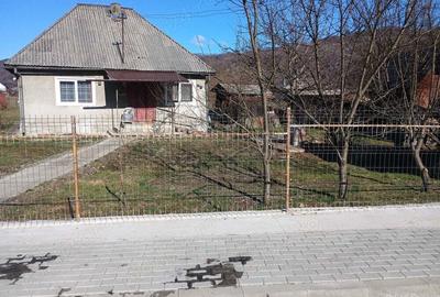 Casa +gradina - 5
