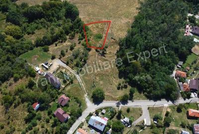 Teren de 1175 mp, în Central - 3