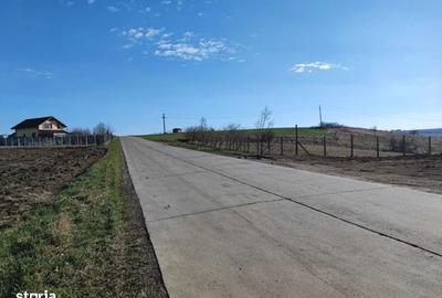 Teren de 7850 mp, în Horlești - 3