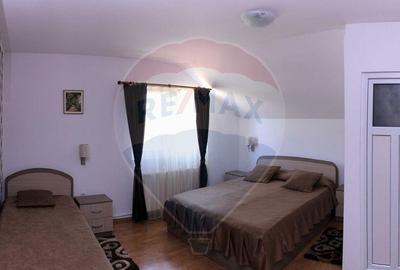 Spațiu comercial, de 750 mp, în Făget - 5