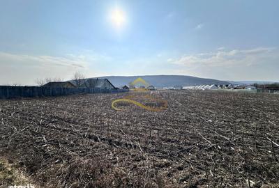 Spațiu comercial, în Hemeiuș - 1