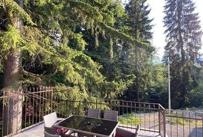 Eleganta si stil, in peisagistica montana, Rezidential/ Pensiune, Predeal, Braso - 13