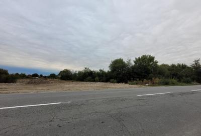 Teren intravilan, 3.063 mp, str.Merilor, zona in dezvolta - 4