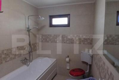 Casa superba in Tinca, 225 mp, 20 ari luciu de apa, teren fo - 9