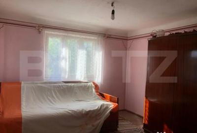 Casă cu 4 camere cu Teren 4000 Mp în Central - 5