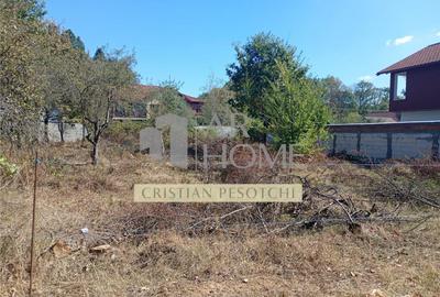 Teren intravilan 572 mp, deschidere 16m, Baicoi - 4