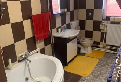 Vand doua case in aceeasi curte, in sat Dudesti, com. Luncoiu de Jos, - 8