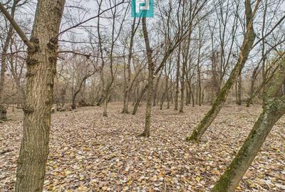 Teren extravilan de 5000 mp, în Periam - 4