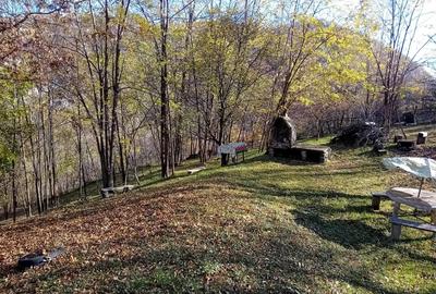 Teren de 1000 mp, în Brebu - 4