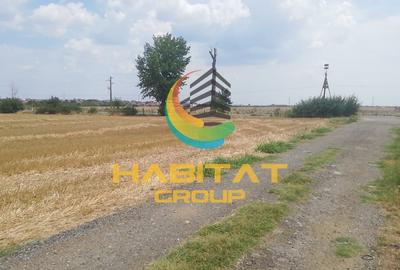 Teren Construcții intravilan de 441 mp, în Vidra - 1