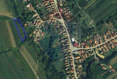 Teren extravilan în Mera - 1