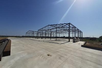 Hale noi in zona Gara Catelu, Drumul Intre Tarlale - 2