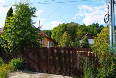Casă cu 3 camere cu Teren 3000 Mp în Breaza - 1