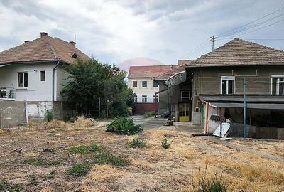 Casa pe un nivel in Medias, teren 533 mp, curte dreapta - 5