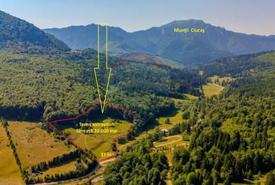 Teren extravilan de 20000 mp, în Dălghiu - 2