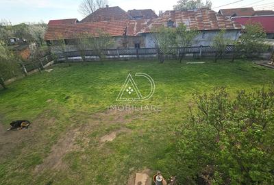 Casă individuală cu 4 camere cu Teren 3184 Mp în Drăguțești - 4