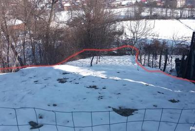 Casă cu Teren 720 Mp în Bratca - 3