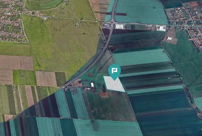 Teren agricol extravilan de 41600 mp, în Sânnicolau Mic - 3