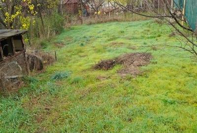 Casa Individuala zona Mehala - 2