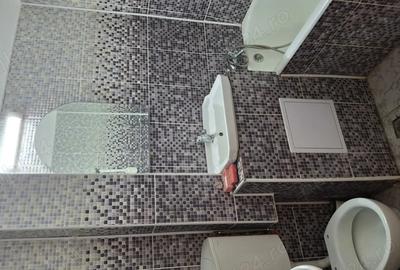 Apartament cu 2 camere semidecomandat în Trivale - 4