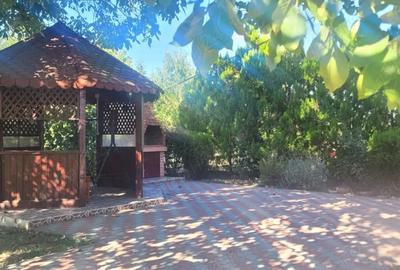 Casa de vanzare in Cornatelu, Dambovita - 1