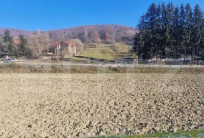 Teren extravilan - Sita Buzaului -6800 mp posibilitate trece - 12