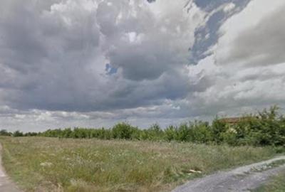 Teren de 5000 mp, în Măgurele