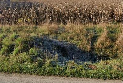 Spațiu comercial, în Arcalia - 2