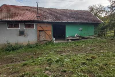 Vand casa la sat - 9