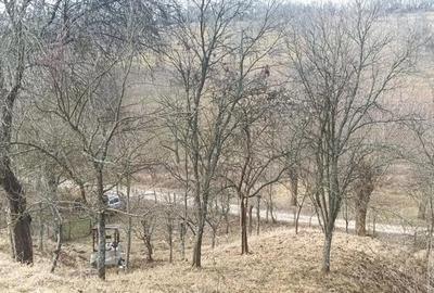 Casă cu 4 camere în Răchitova - 1