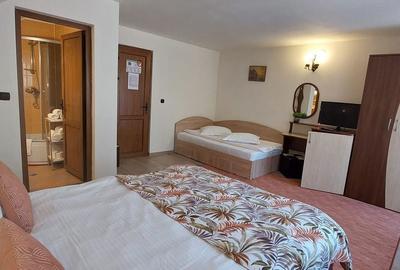 Casă cu 10 camere cu Teren 1292 Mp în Moieciu - 1