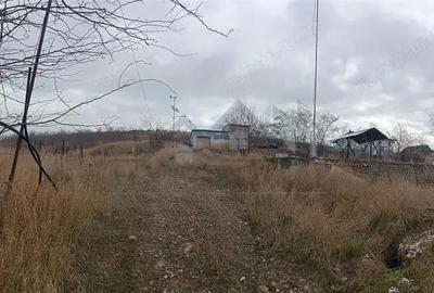 REDIU, teren 3350mp. intravilan cu utilitati trase, (dezv. imobiliara) - 6