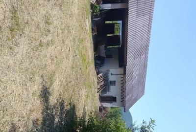 Casă cu 3 camere cu Teren 2000 Mp în Brănișca - 5