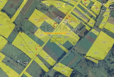 Teren 7,430mp Copalnic / Strada principala - 10