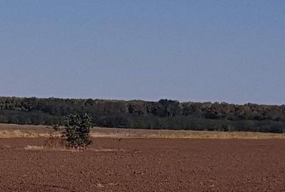 Teren Construcții intravilan de 30700 mp, în Brănești - 6