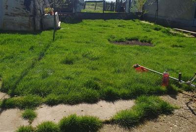 Vand casa Bicaci - 5