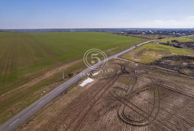 Teren Construcții intravilan de 80000 mp, în Frumușani - 8