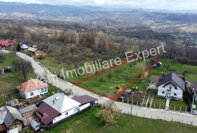 Teren de vanzare in comuna Valea Iasului, sat Cerbureni, jude? Arge?. - 4