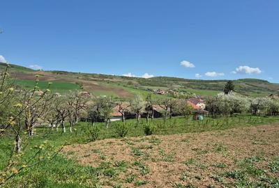 Casa ?araneasca autentica, teren generos ?i multe facilita?i. - 6