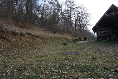 Casă cu 4 camere în Central - 1