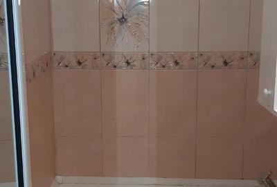 Apartament cu 2 camere semidecomandat în Viziru 3 - 1